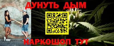 индика Будённовск