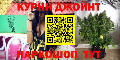 индика Будённовск