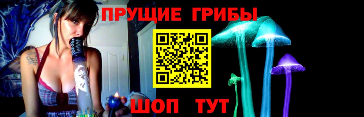 купить наркотики сайты  Псилоцибиновые грибы мухоморы  Псилоцибиновые грибы ЛСД  Вход с VPN  Михайловск 